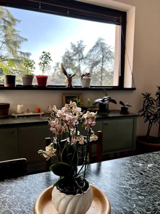 Apartment In Villa La Carruba Rivergaro Ngoại thất bức ảnh